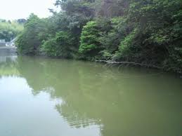 ニゴリの対処法