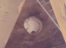 ちょっとビビった事