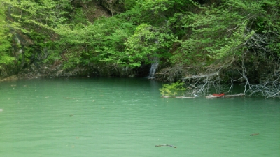 梅雨の増水時、魚の付き場はどうなる？