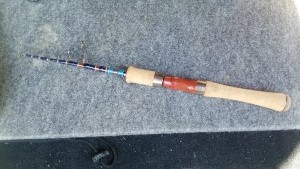 ジャクソン カワセミラプソディ