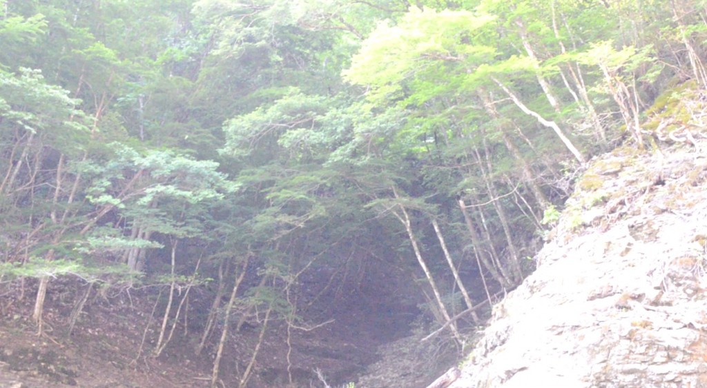 日中バスが表層に出にくいワケ