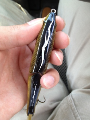 夏場のタックルに気を付よう!!