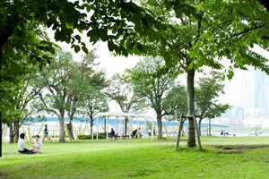 夏バスの好むポイント