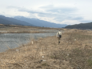 cr5TjpJ80pFs0uQ1458438617_1458438665