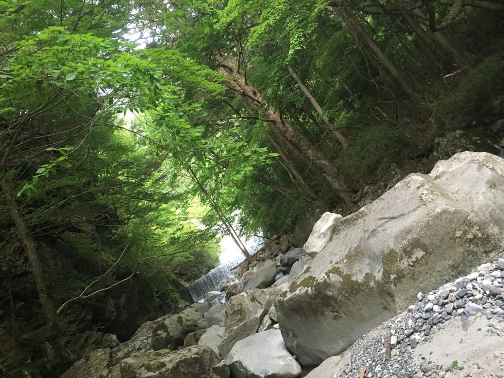 初心者OK！コツを掴めば誰でも釣れる！渓流でルアー釣り