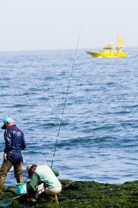 pp_tiwabaturihune-thumb-autox1600-12680