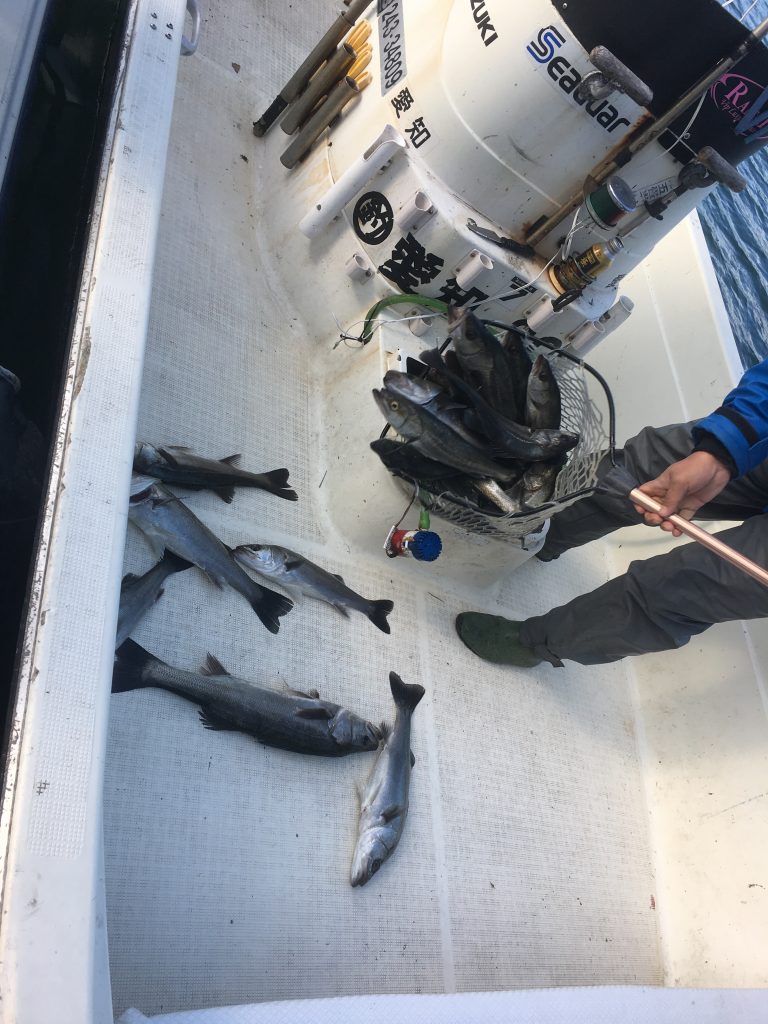 冬の名古屋港ボートシーバス釣行！