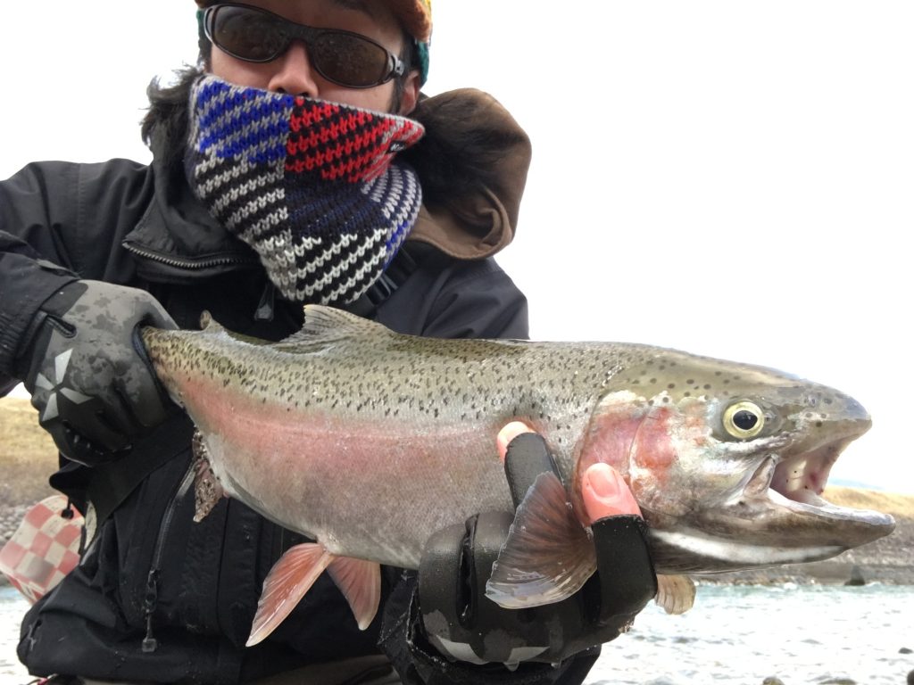 天竜川ついに解禁！綺麗な本流トラウトを求めて！