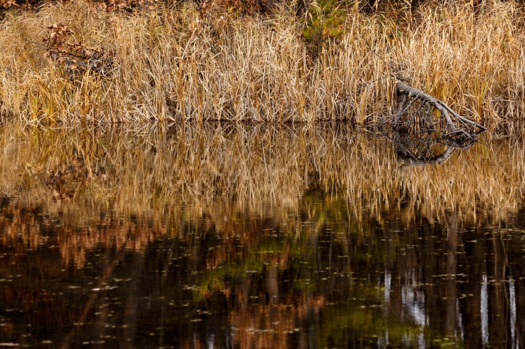 低水温に活躍！　ルアーをサスペンドにチューンする方法