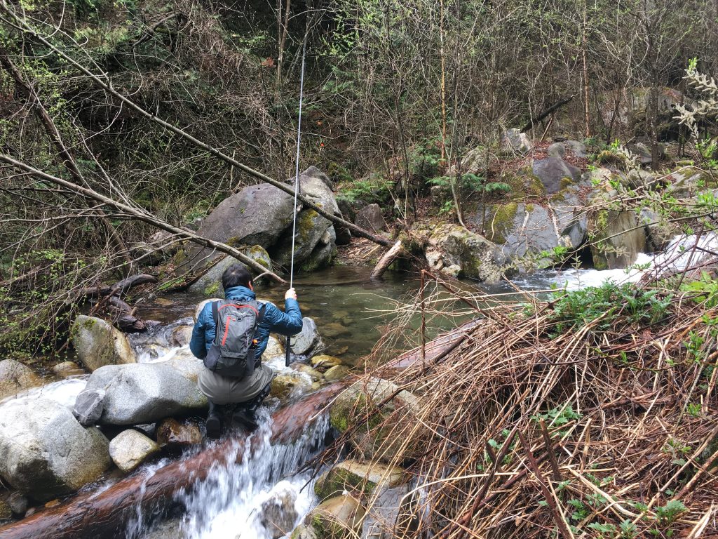 渓流エサ釣りガイド行ってきました。