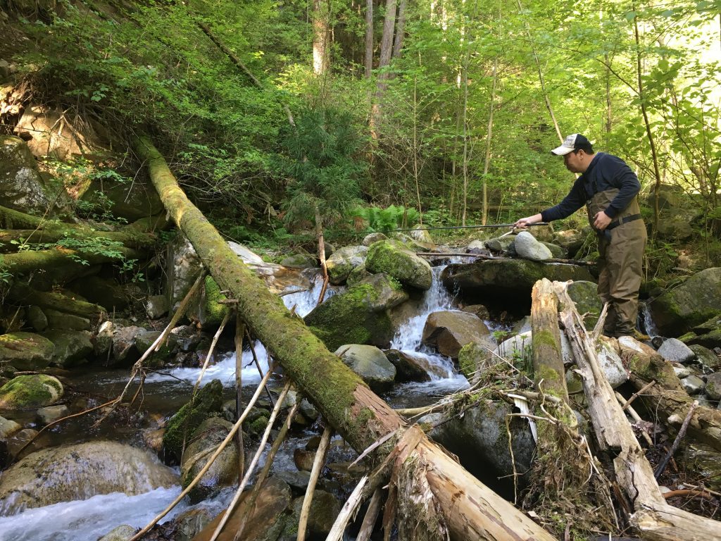 長野の渓流も楽しい！　癒しの渓流釣りガイド