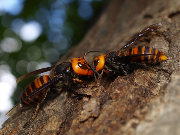 楽しく安全に過ごす為、釣り場で気をつけたい7の項目!