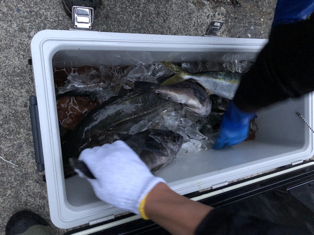 豪快に捌く！　釣った魚は美味しくいただこう！