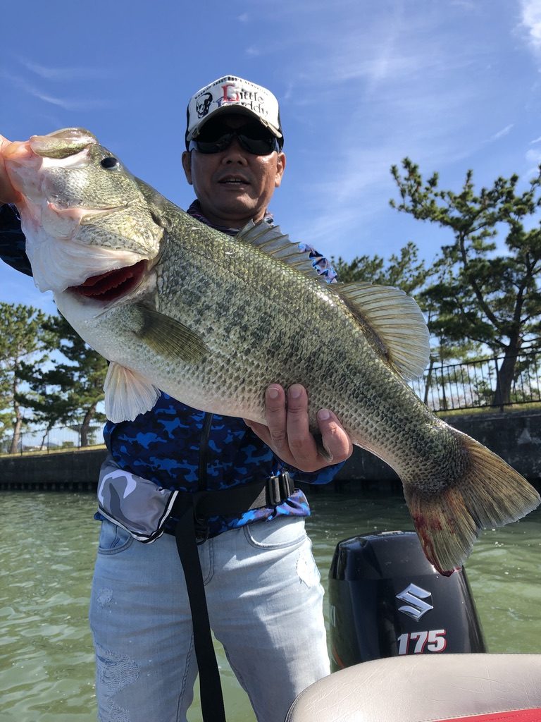 琵琶湖バス釣り釣行! 三度目の正直???