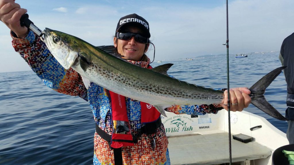 名古屋港の巨大シーバスはどこに？？？