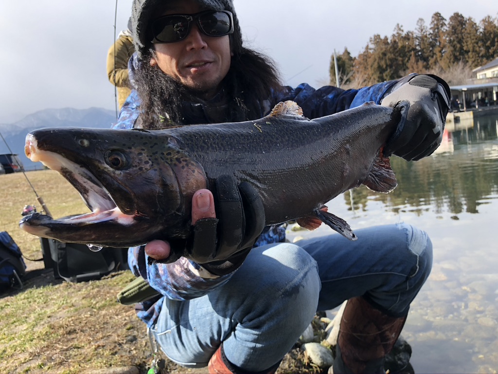 初釣りで大漁！？　エリアトラウトinハーブの里FA！