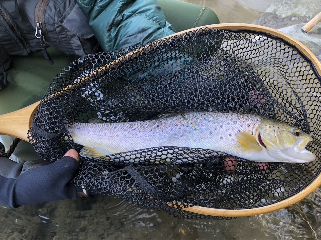 犀川トラウトの定番！？　オススメルアー５選！