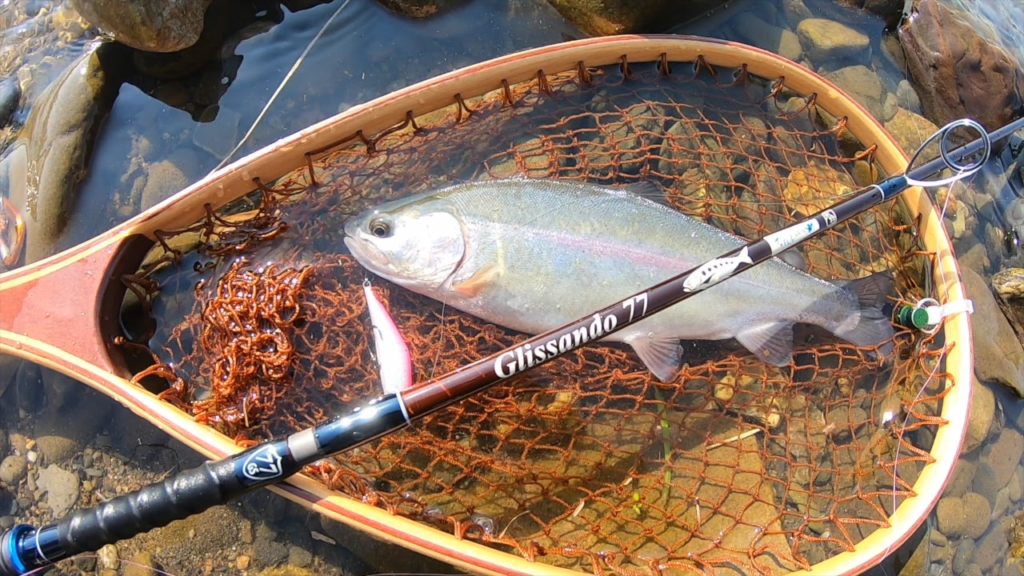 ツララロッドでトラウト釣行！天竜川のトラウトを手にする狙い方とは？