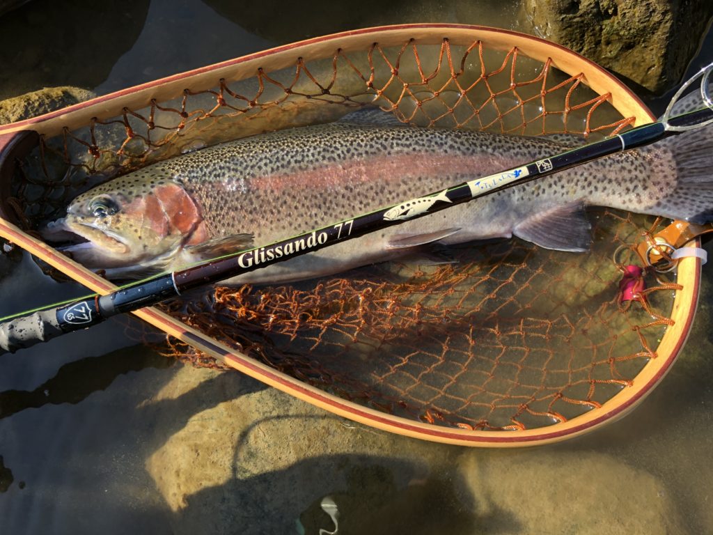 秋の犀川殖産　ビッグトラウトを狙え！２０２０