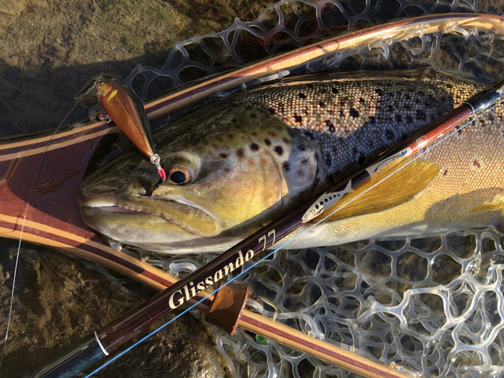 今が激アツ！？人気の本流トラウト攻略法！ミノー編