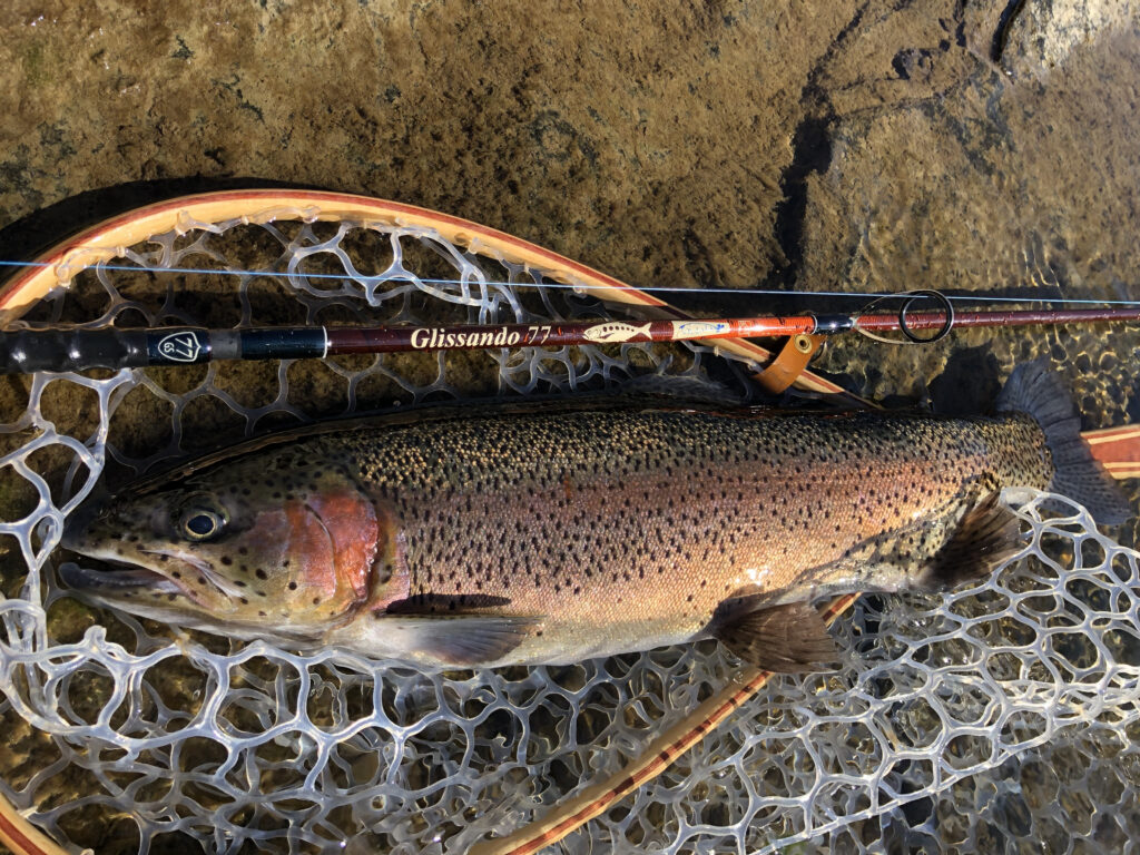 犀川殖産放流魚の狙い方