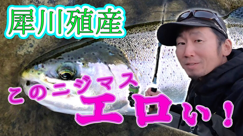 2022年（秋）犀川殖産セカンドシーズン開幕！！エロいニジマスが！？