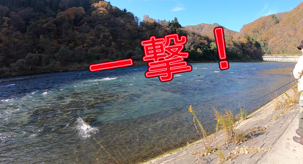 犀川殖産でガイドしてきました。