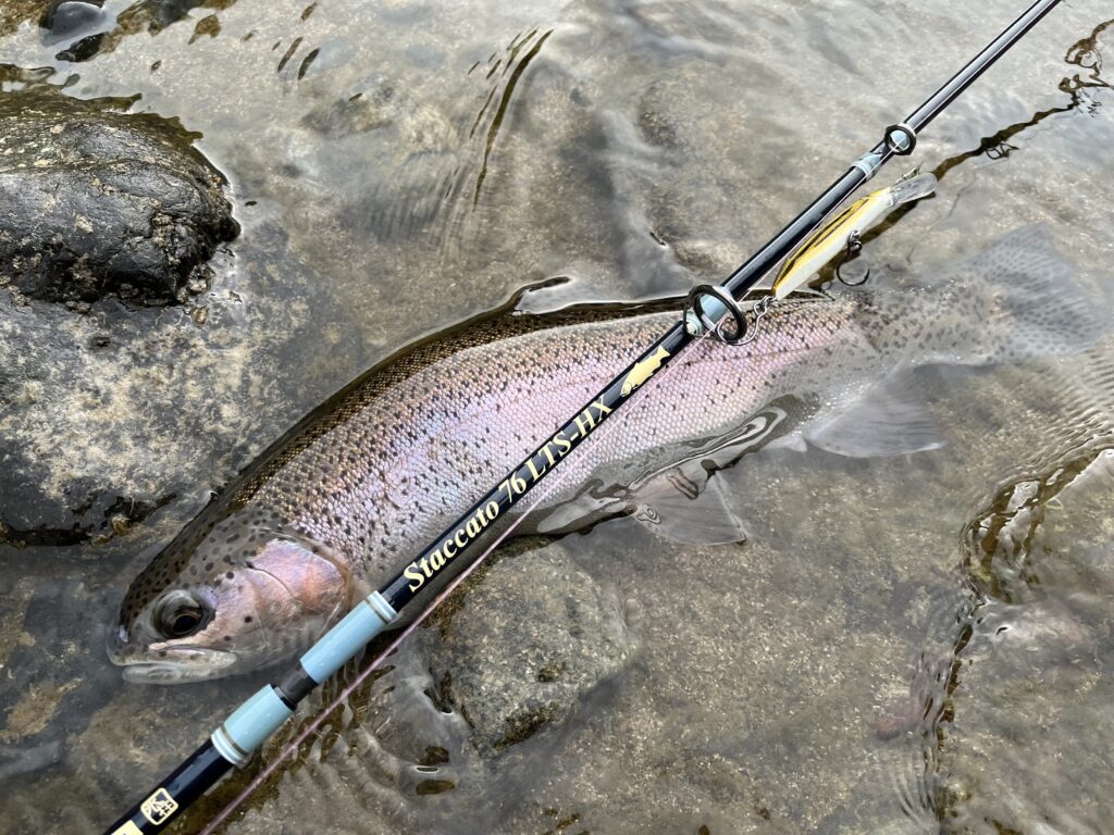 ２２ステラの性能を犀川殖産で確かめる！ステラのレビューから入魂まで！