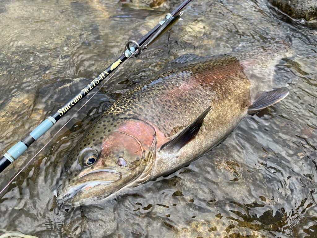 長野の本流トラウトといえば犀川殖産？ビッグトラウトを求めて秋のフィールドチェック
