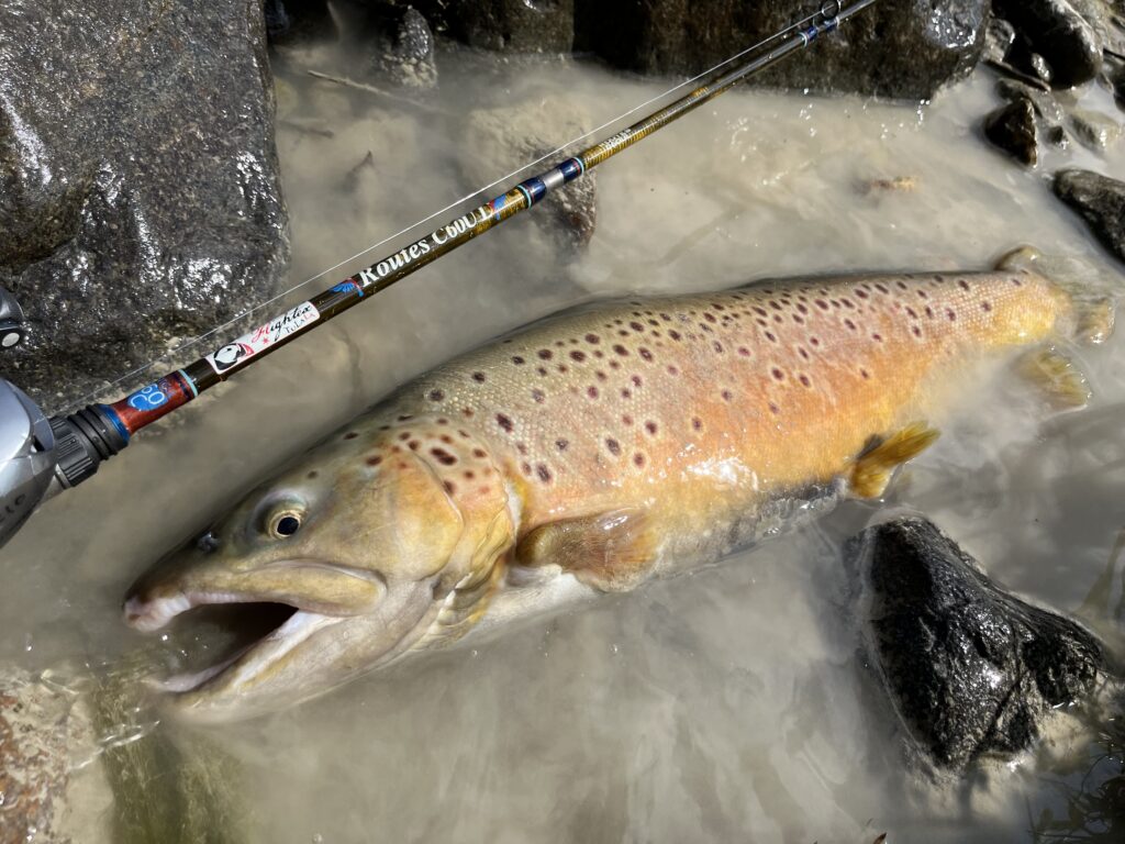 濁った鹿島槍ガーデンは超がつくほどイージーモード！