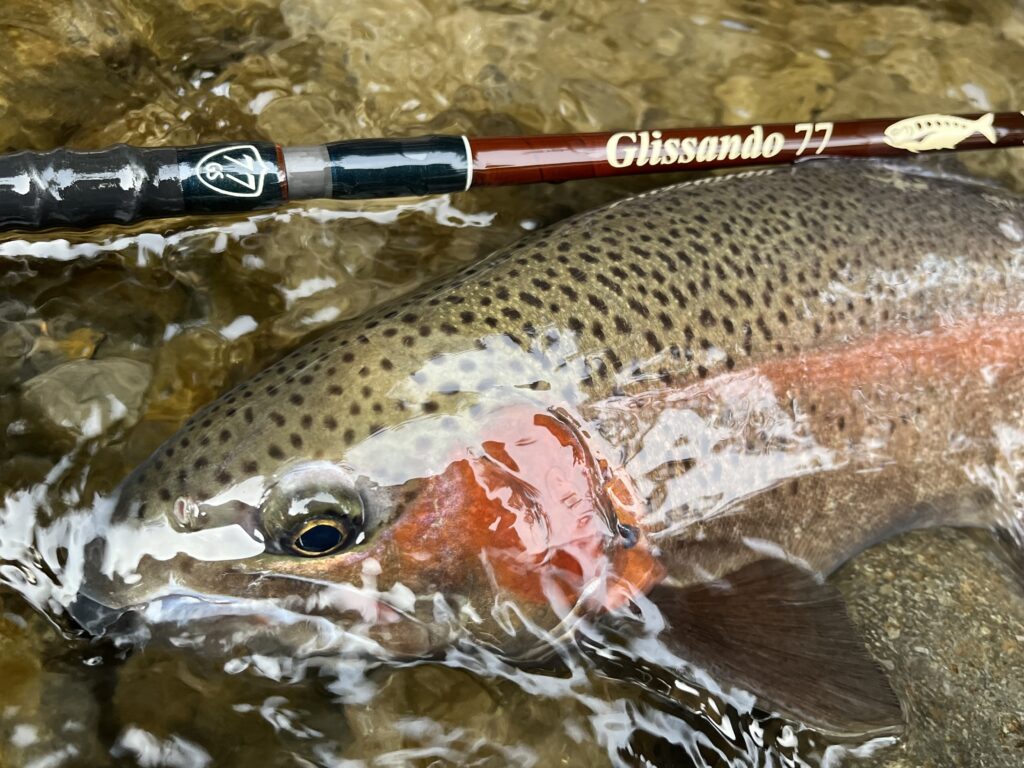 犀川殖産2024セカンドシーズンの状況と釣果報告