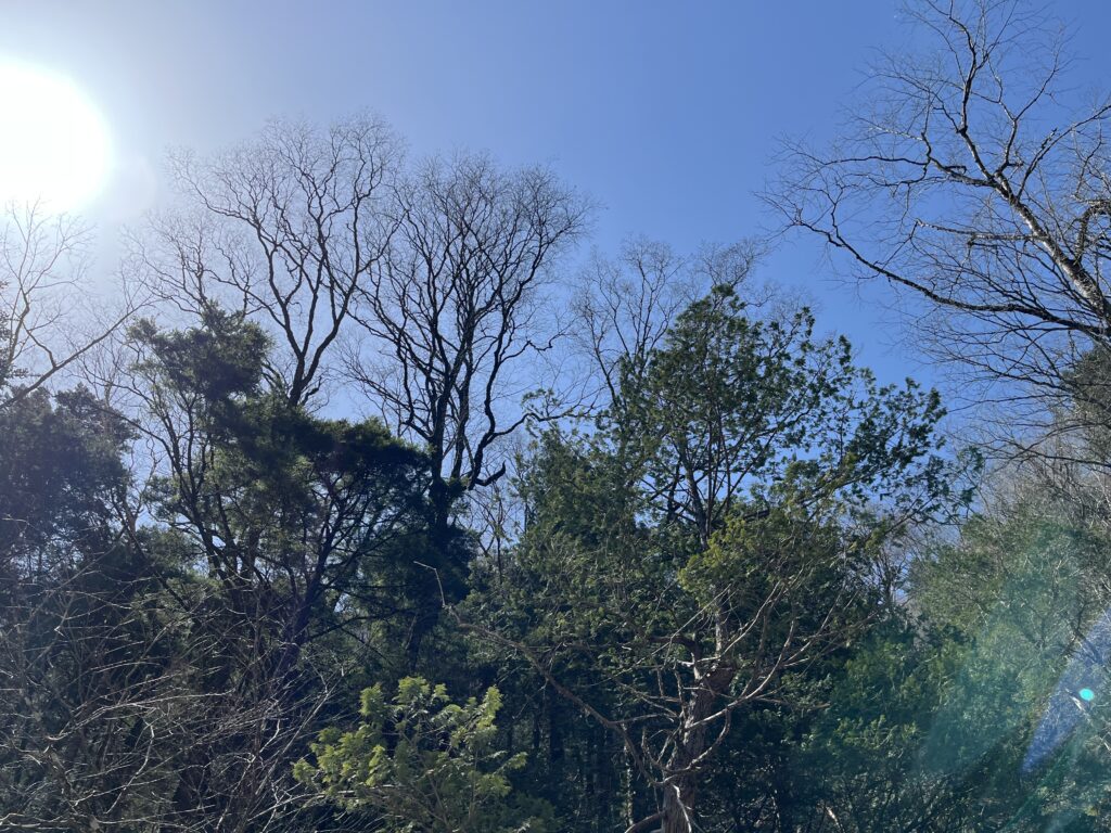 ひとり渓流、まだ冬の山で考えたこと。