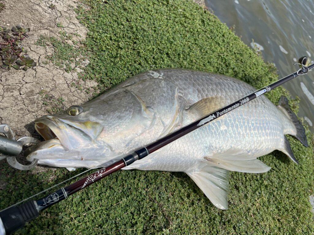 タイ旅行その2|ブンマーポンドで巨大バラマンディ狙い!甘くない?いやボコボコ!南国フィッシングの醍醐味