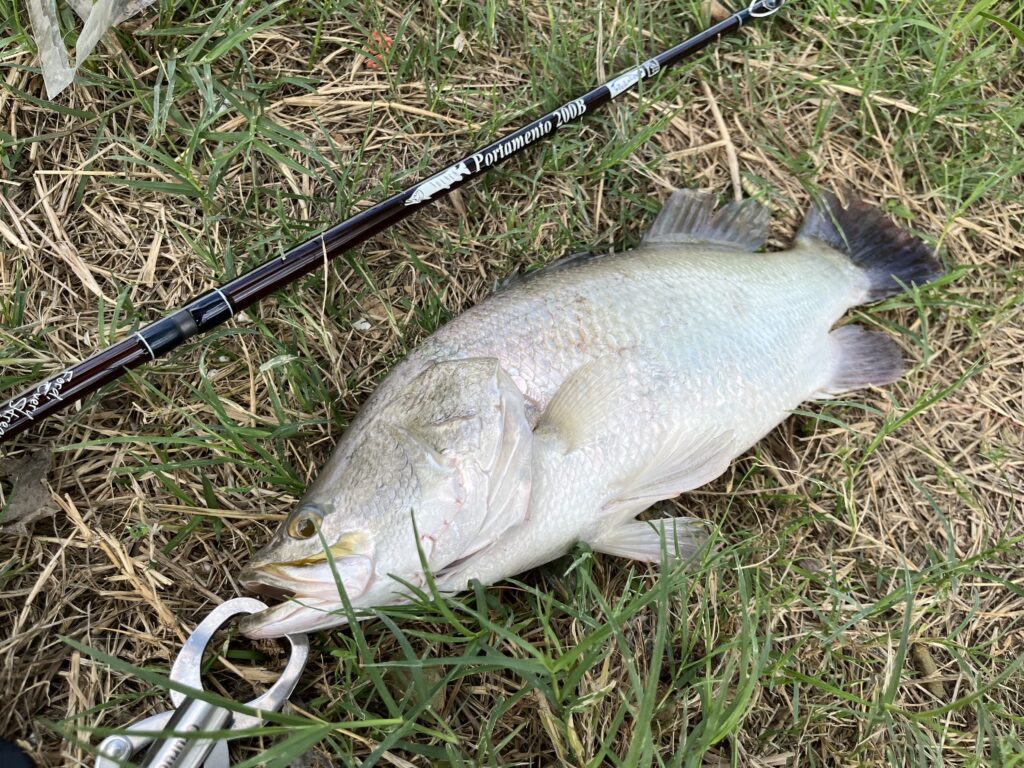 タイ5日目 まったり系釣り堀アーサーフィッシング