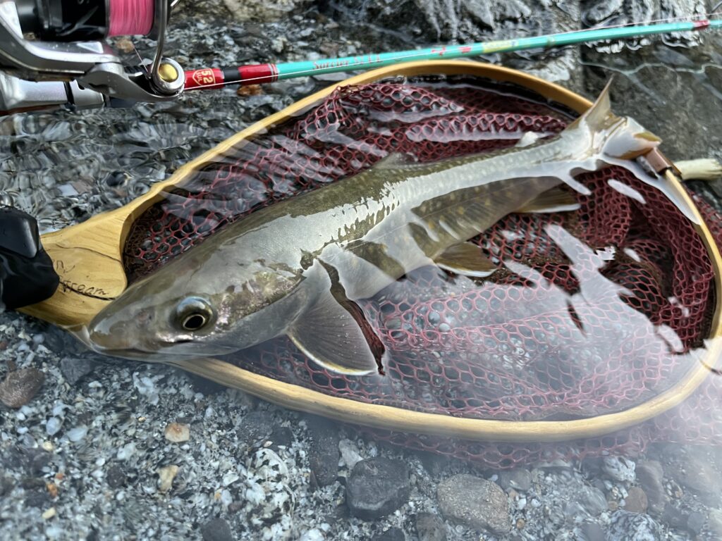 【禁漁前】最後の渓流釣りで魚を出すために意識した5つのこと｜実釣レポ
