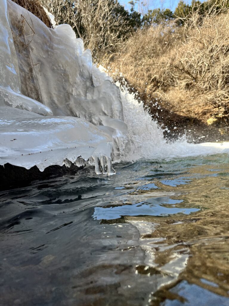 【長野県・渓流解禁】水温2度の絶望からどう釣る？里川攻略と低活性時の秘策