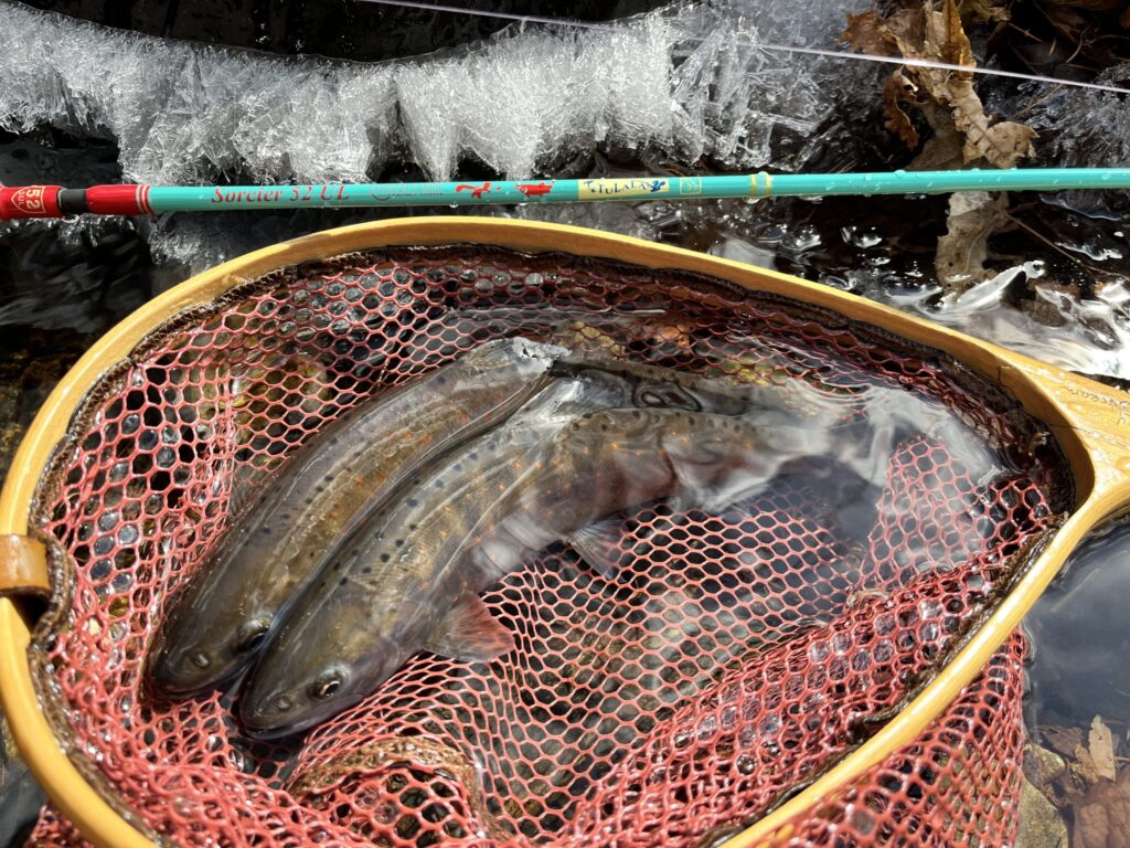 【木曽渓流】氷点下の悶絶釣行！低活性な春の魚を攻略する「レンジキープ」の極意